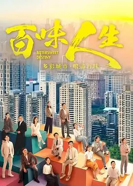 长安十二时辰 电视剧封面